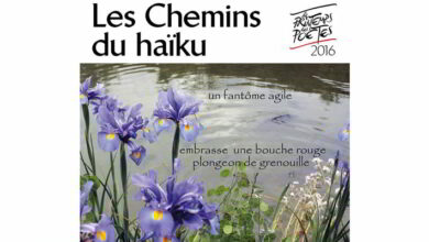 «Les chemins du haïku» 20 les chemins du haiku