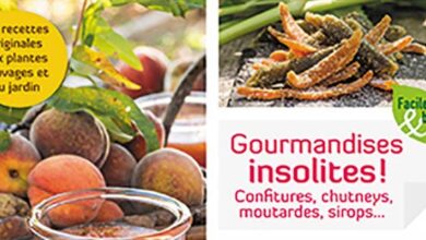 Gourmandises insolites
