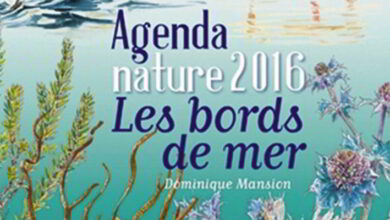 livre agenda nature mansion 2016 bandeau
