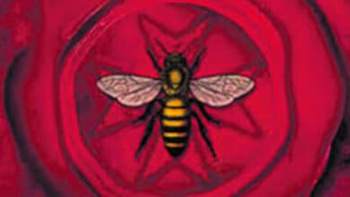 livre la prophetie des abeilles banniere