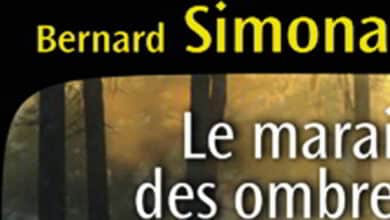 livre le marais des ombres bandeau