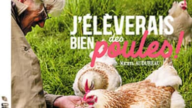 livre poules avant