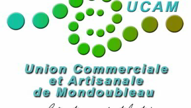 Mondoubleau : les 10 jours dingues ! 17 logo UCAM mondoubleau
