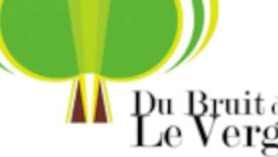 Du Bruit dans le Verger à Lunay 15 logo du bruit dans le verger
