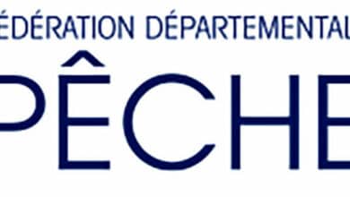 logo fede peche 41 oct 21 890x335 1