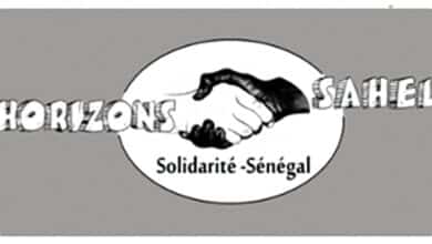 Collecte de dictionnaires 13 logo horizons sahel