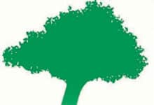 logo perche nature 1