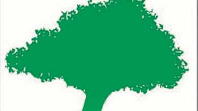 logo perche nature 1