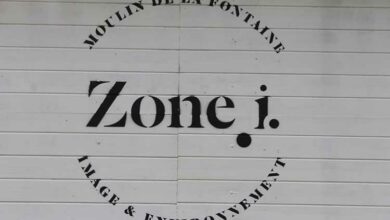 logo zonei