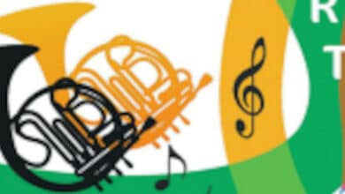 Musique municipale de Lunay 1 lunay concert sainte cecile orange blues banniere