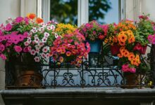 Maisons et balcons fleuris, édition 2026 4 Maisons et balcons fleuris, édition 2026