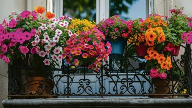 Maisons et balcons fleuris, édition 2026 2 Maisons et balcons fleuris, édition 2026
