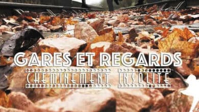 Sans crier gare, la culture s’invite en gare 2 association Remue-Ménage ; Remue-Ménage ; Train touristique de la Vallée du Loir ; TTVL