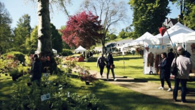 Le Jardin du Plessis Sasnières expose plantes et produits du terroir 10 marche aux plantes sasnieres avant