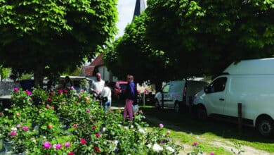 marche aux plantes villetrun 1