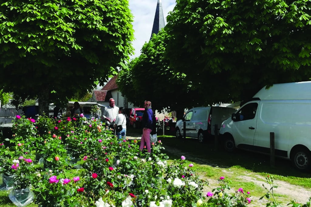 marche aux plantes villetrun 1