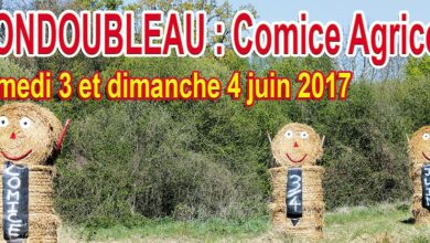 Mondoubleau : Comice Agricole les 3 et 4 juin 2017 11 mondoubleau comice
