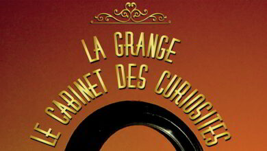 Bienvenue aux curieux ! 2 cabinet des curiosités