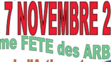 33e Fête des Arbres à Morée 1 moree foire arbres 890x395 1