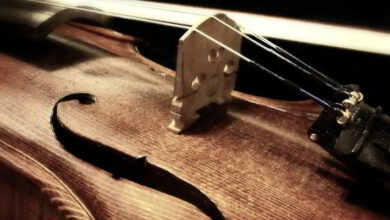 "Les Maudits Français" en concert 15 Les Maudits Français ; Musikenfête ; Montoire