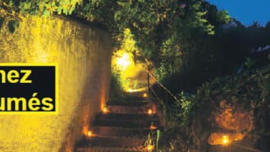 Nuit des Lumières et Halloween... 11 nuit des lumieres 890x395 1