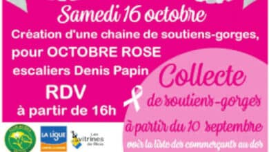 Fais une bonne action : fais un don ! 5 octobre rose op soutif 890x395 1