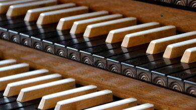 Concert exceptionnel sur l’orgue historique de Saint-Calais 16 orgue st calais
