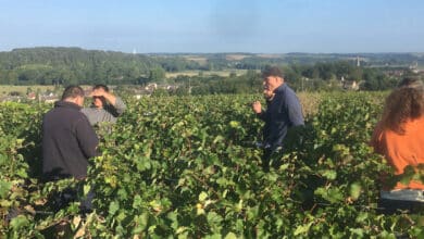 partage vignerons vignes vendomoises 890x395 1