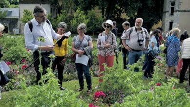 Perche Nature a besoin de soutien 1 perche nature insectes