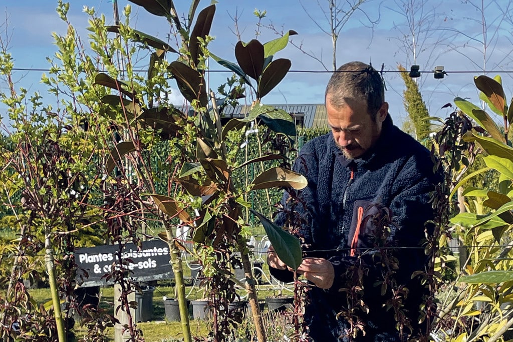 philippe duval dans les plantations du marche vert 1