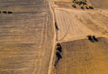 Plan pour soutenir l’agriculture