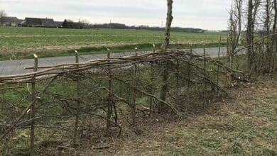 Une journée de plessage 10 plessage photo
