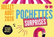 Pochettes surprises  dans les médiathèques