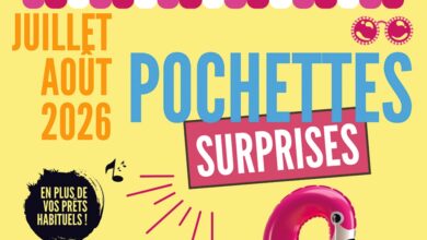 Pochettes surprises
dans les médiathèques 2 Pochettes surprises
dans les médiathèques