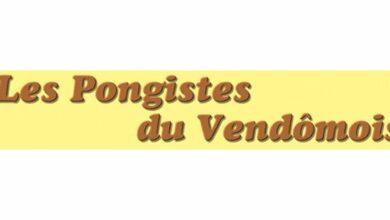 pongistes vendomois