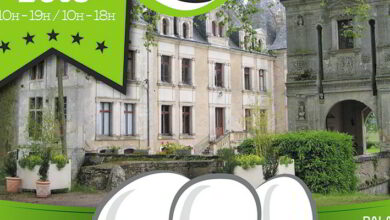 La gastronomie au château de la Mézière 7 château de la Mézière