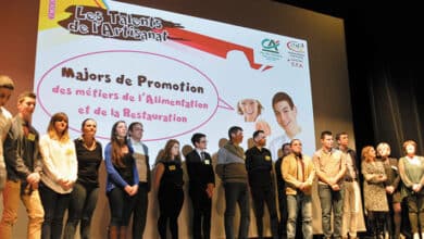 l'artisanat ; CFA