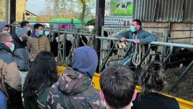 races bovines lycee agricole banniere