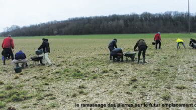 ramassage pierre golf