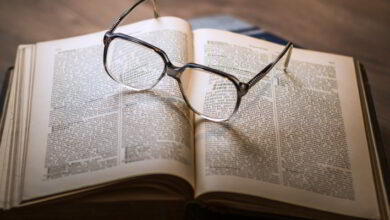La fête des mots à Vendôme 15 salon livre
