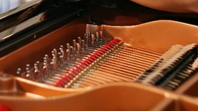 La pianiste américaine Sandra Wright Shen en récital 7 sandra piano