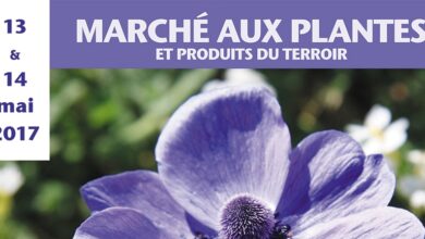 Jardin en fête à Sasnières 10 Sasnières