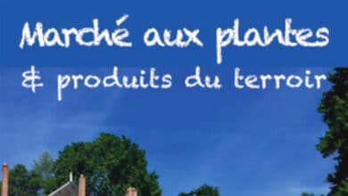 Marché aux plantes et produits du terroir au jardin du Plessis Sasnières 1 sasnieres marche aux plantes mai 22 avant