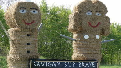 Interview du Vice-président départemental en charge de l’agriculture 4 Loir et Cher ; agriculture