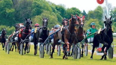 Courses ; Savigny ; hippodrome des Patis