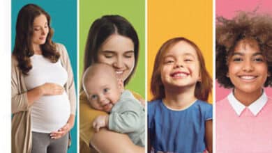 schema des solidarites 1