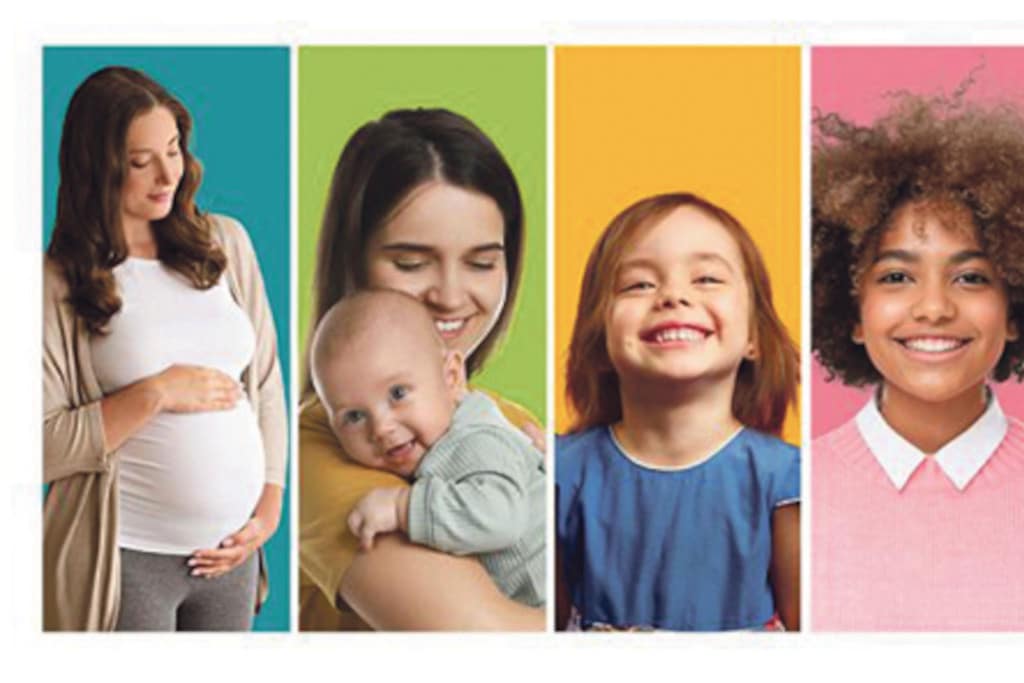 schema des solidarites 1