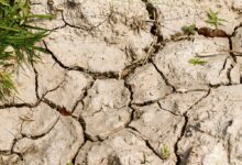Sécheresse dans le département en cet été 2026