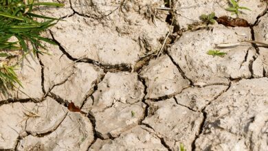 Sécheresse dans le département en cet été 2026 2 Sécheresse dans le département en cet été 2026