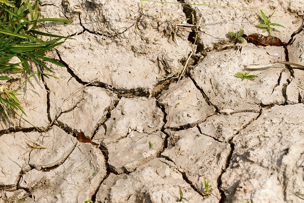 Sécheresse dans le département en cet été 2026 1 Sécheresse dans le département en cet été 2026